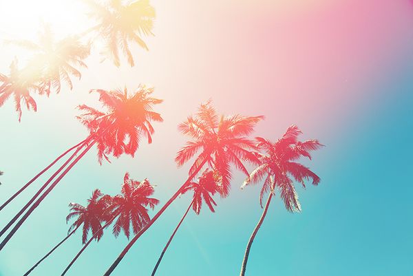 30 web design tools to speed up your workflow in 2018