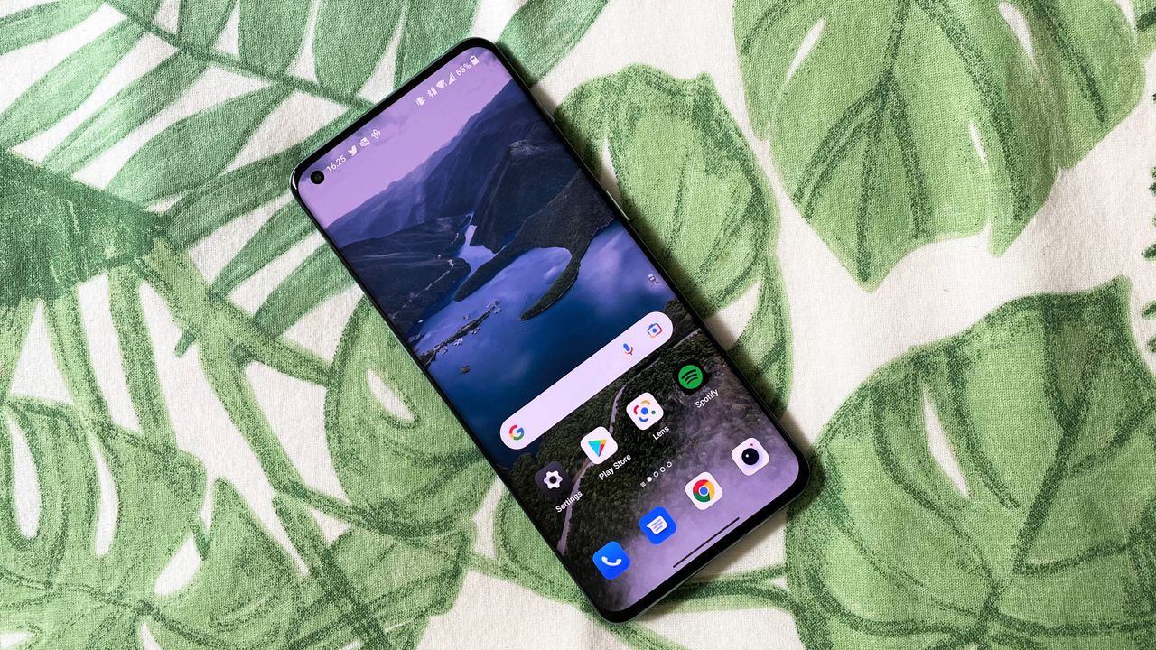 OnePlus 10 Proレビュー:緑豊かな背景の電話画面