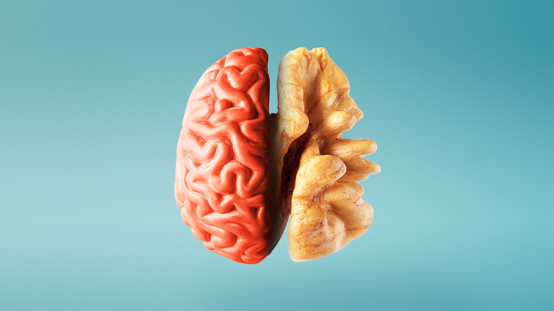 Brain and walnut on blue background