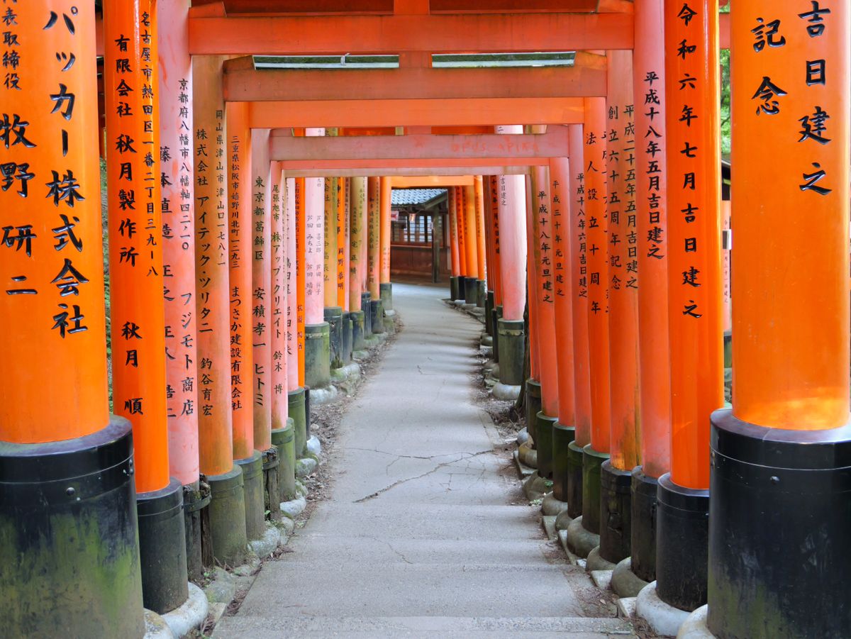 Orange torii gates lining a shrine pathway.