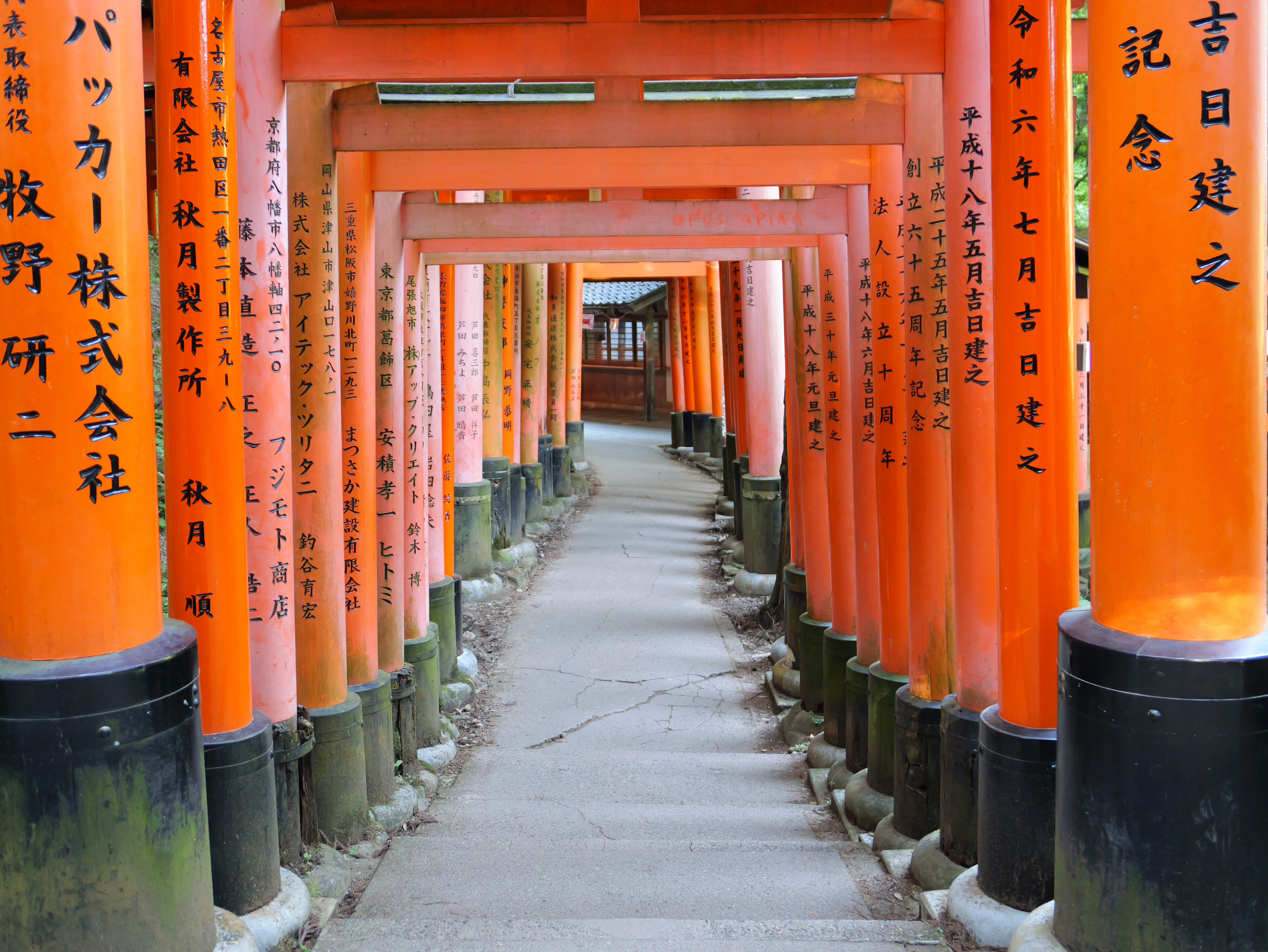 Orange torii gates lining a shrine pathway.