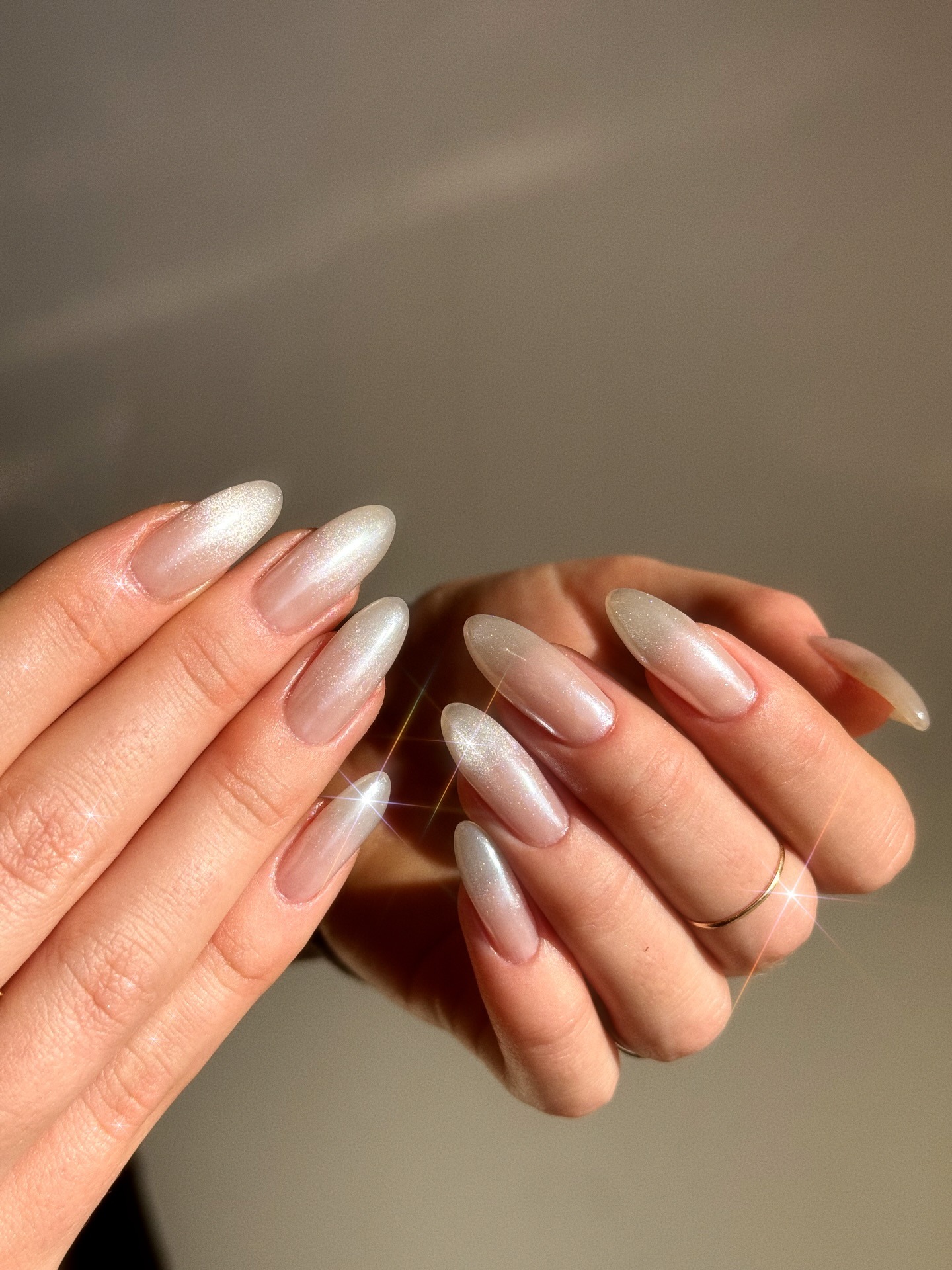 Neutral nails with a frosted silver tip