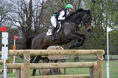 HorseNo971_Belton14pn_8036.jpg
