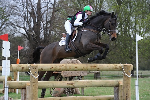 HorseNo971_Belton14pn_8036.jpg