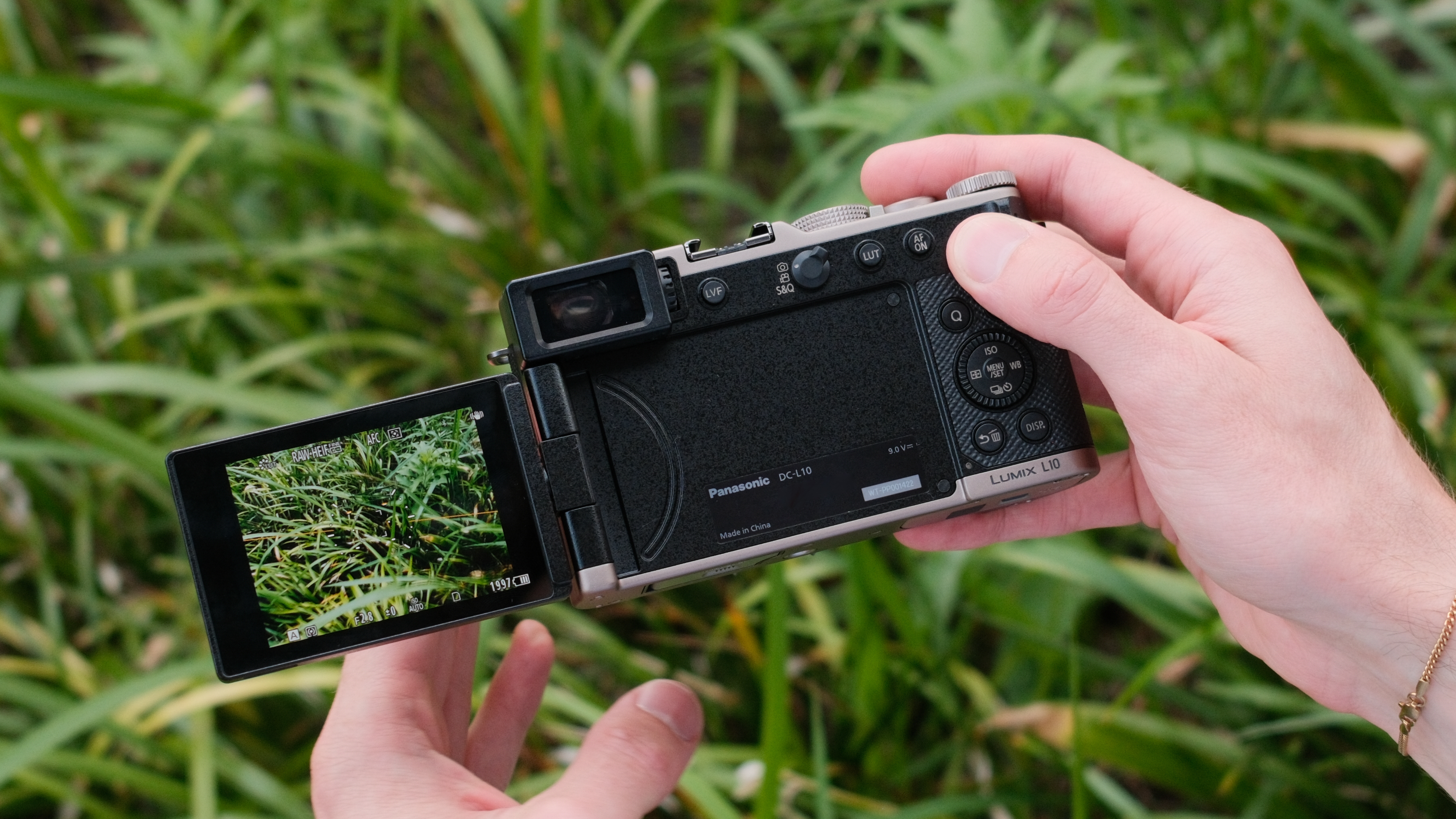 Rear screen of the Lumix L10 showing a live view of plants.
