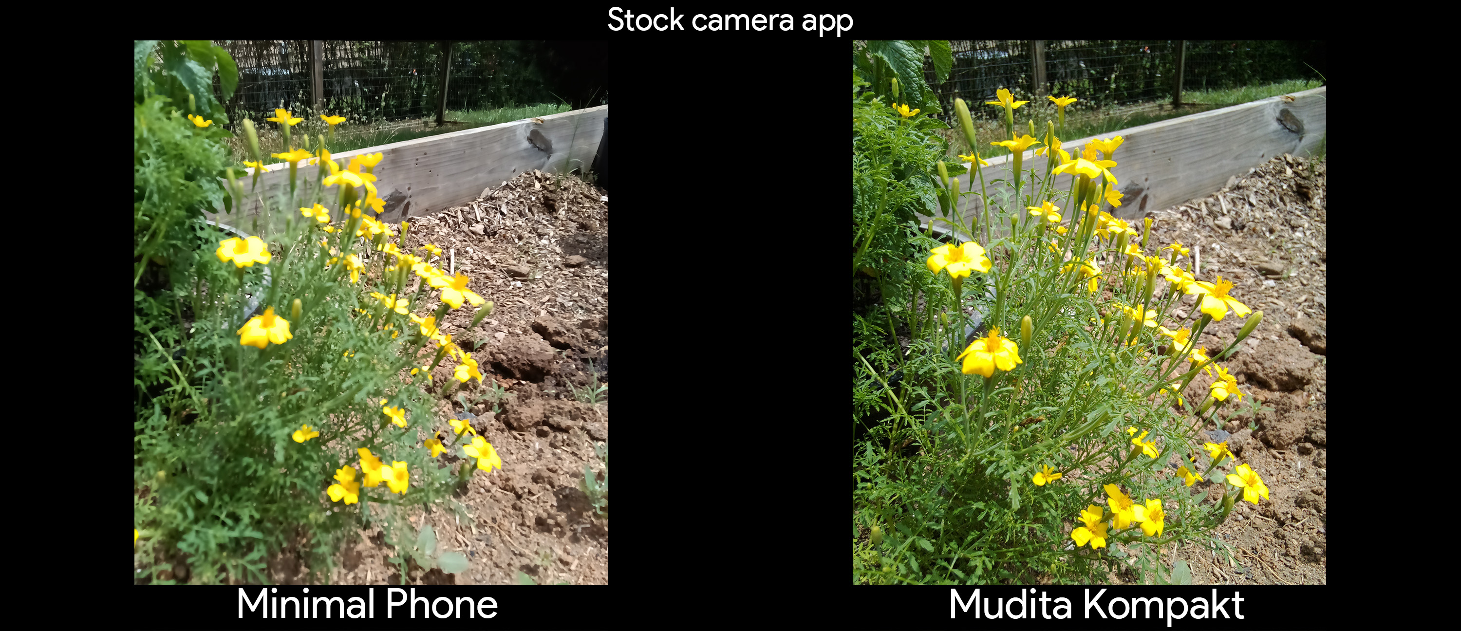 Comparing the cameras on the Mudita Kompakt vs the Minimal Phone