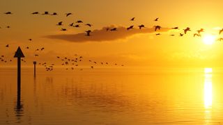 Stunning sunrise flight over the channel leading into Biscayne Bay in south Florida