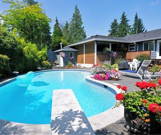 Container planting by pool