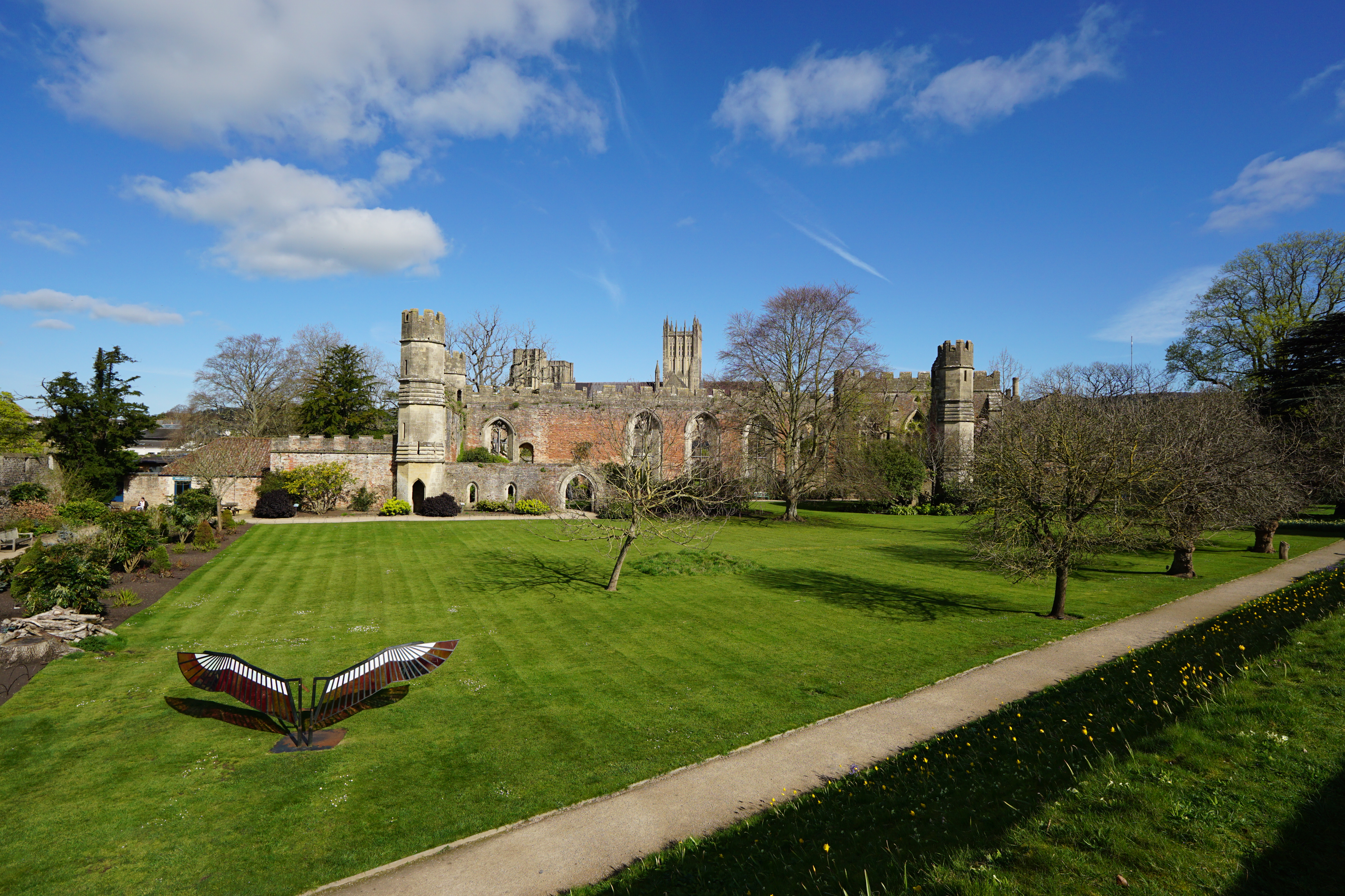 Sigma 12mm f/1.4 DC | C example shot