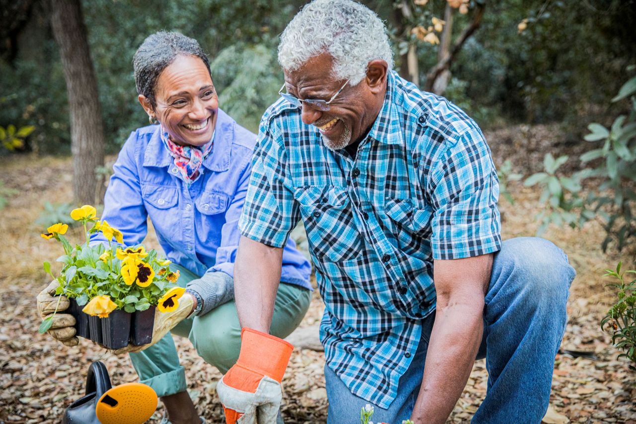 A couple smiles while gardening. 