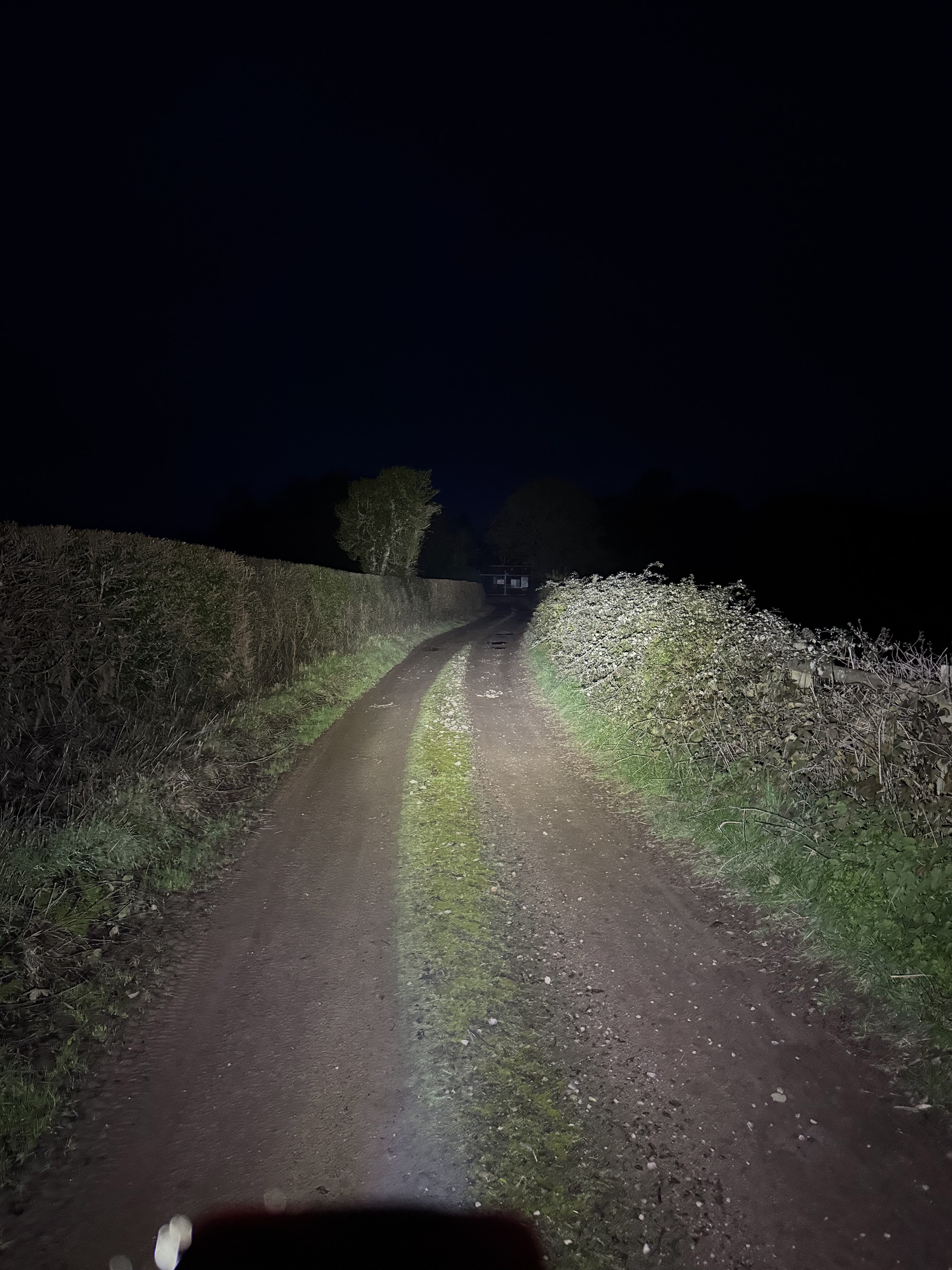 Exposure Lights Sirius 11