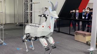 Robot horse at robot show. 