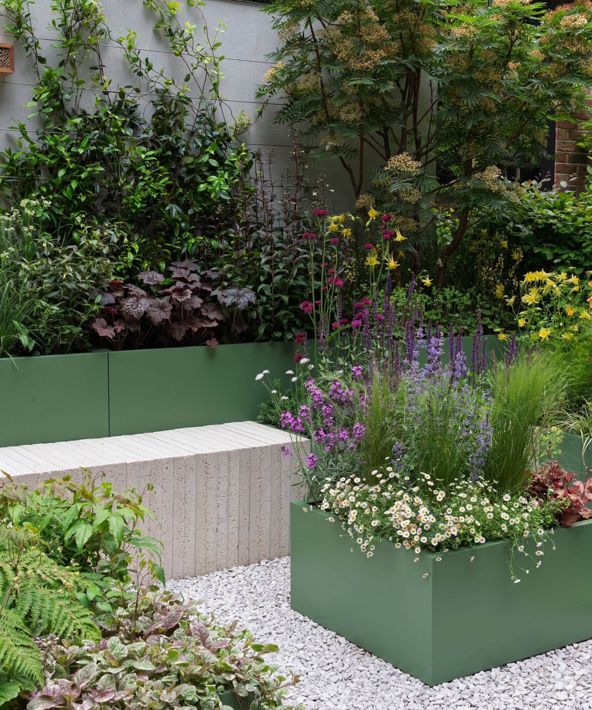 small patio area with raised beds of planting and climbing plants growing up the wall