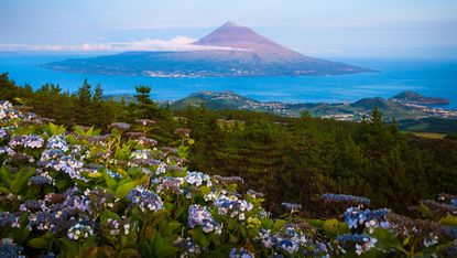 Pico, Azores