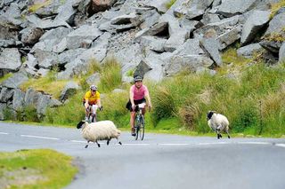 Dartmoor cycling consultation