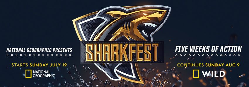 Sharkfest Starts on Nat Geo July 19 | Next TV