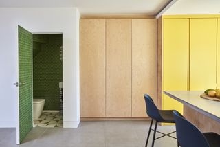 Built-in plywood storage and downstairs toilet with green tiling