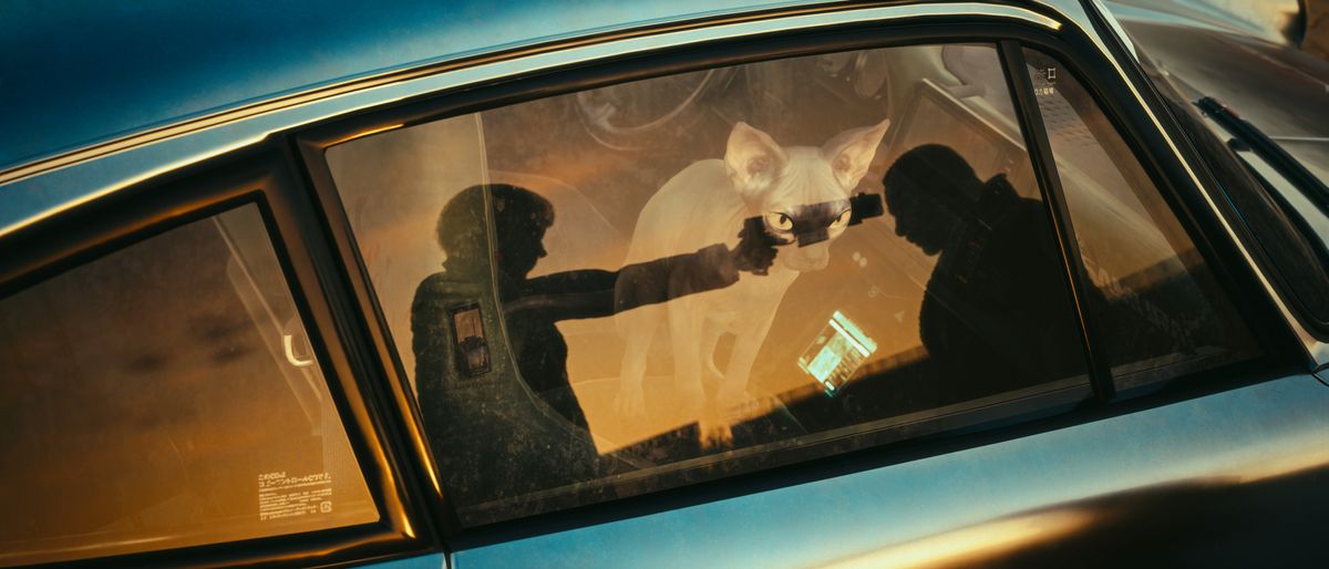 The Virtual Photography Awards for 2025