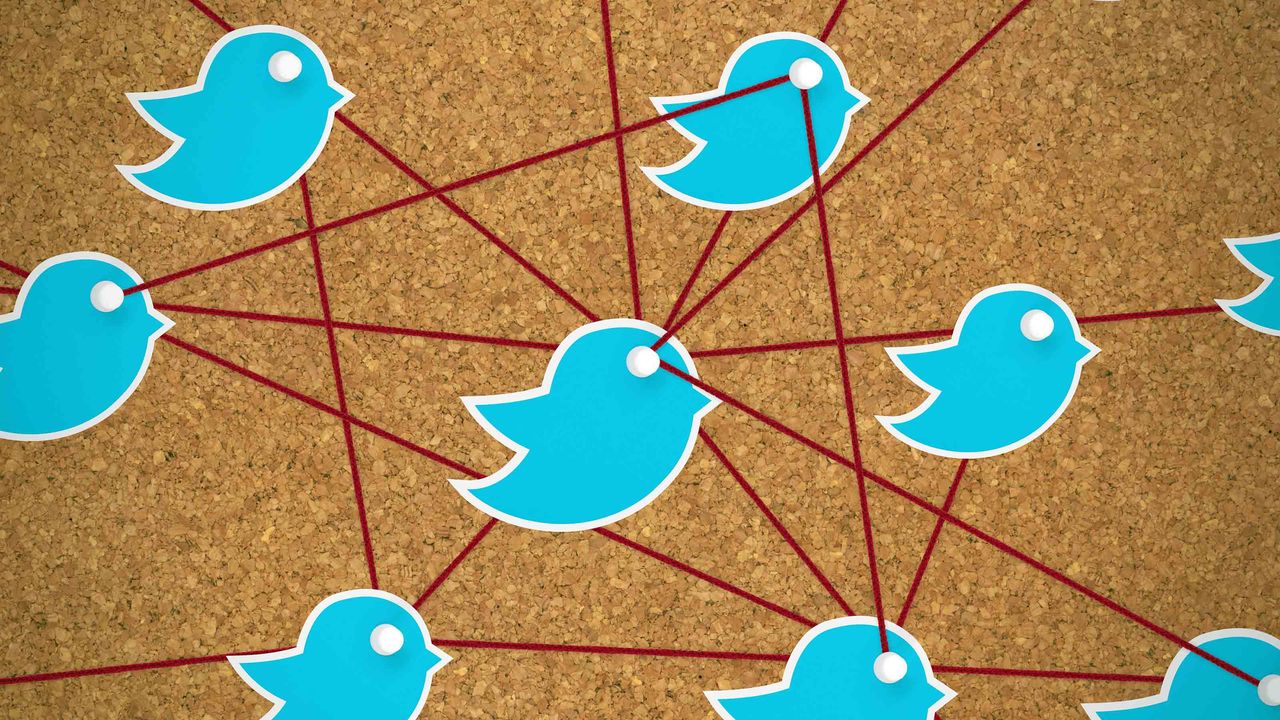 Twitter birds with lines connecting them