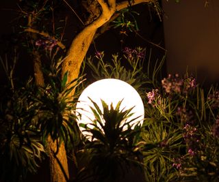 A light in a tree with flower