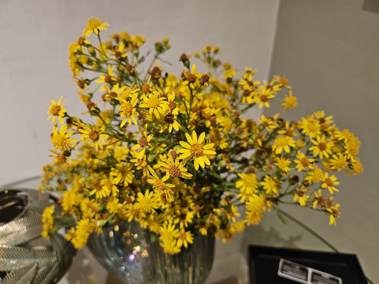 Samsung Galaxy Z Flip 5 camera sample weeds artificial light