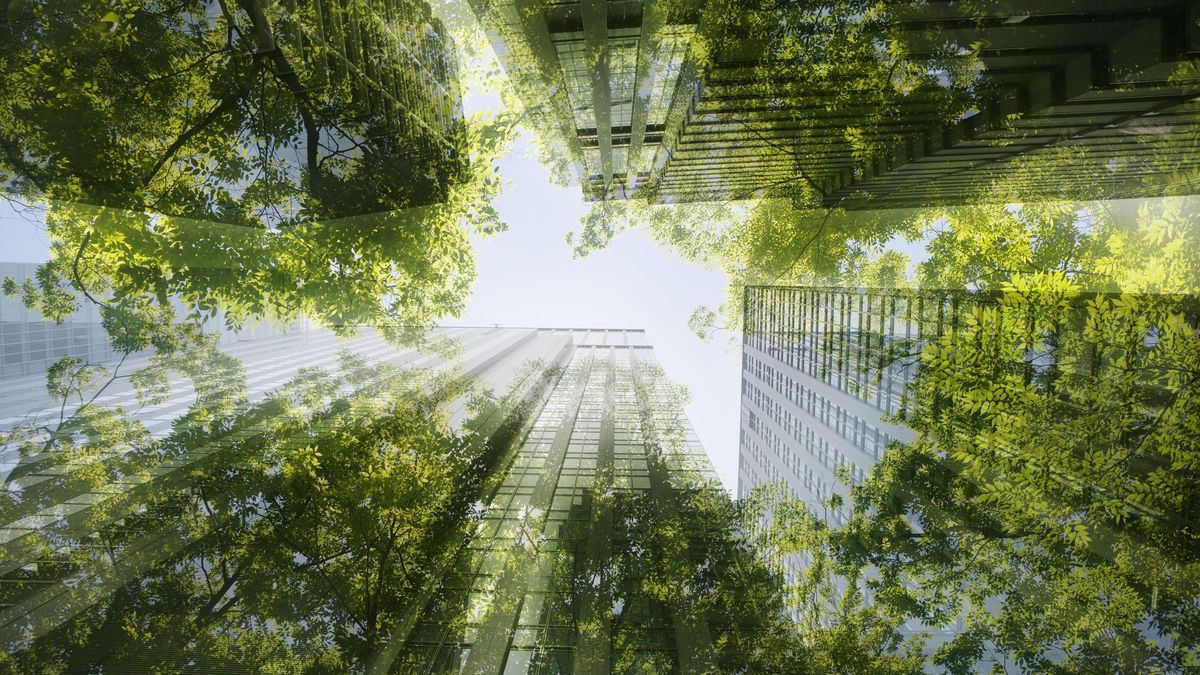 A photo of buildings reaching. up to the sky with trees superimposed on top