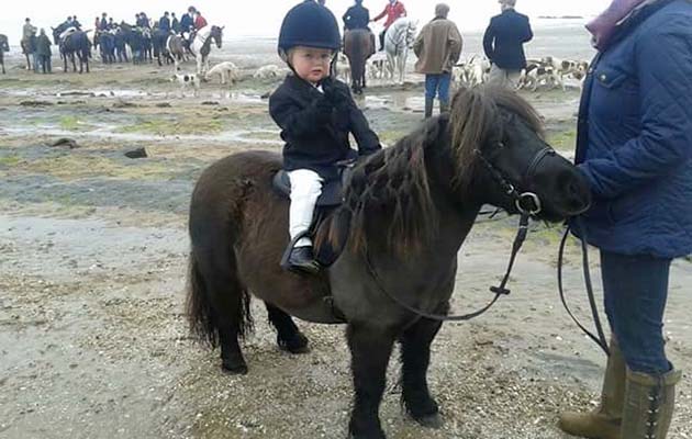 Emma Gaffney, aged two, on her mini Shetland Whisper out with the Dumfriesshire and Stewartry Foxhounds