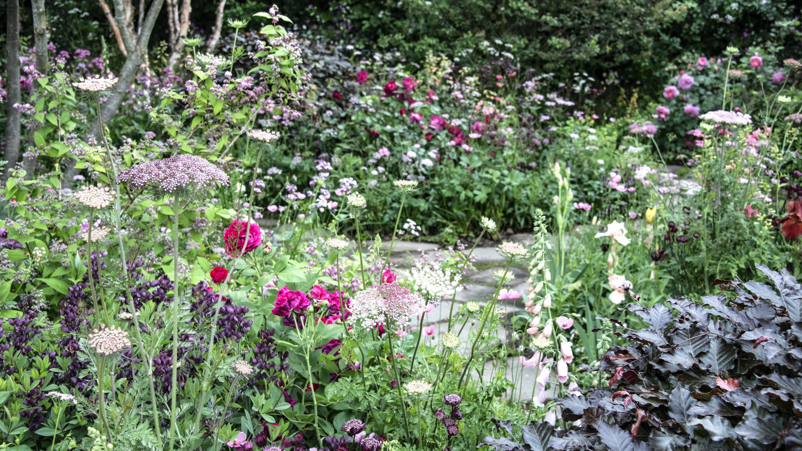 A colourful flower border full of red, pink, and purple blooms with a stone path