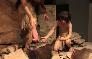 Neanderthals could use tools but did they know art? From an exhibit at the National Museum of Natural History, Washington DC, US.