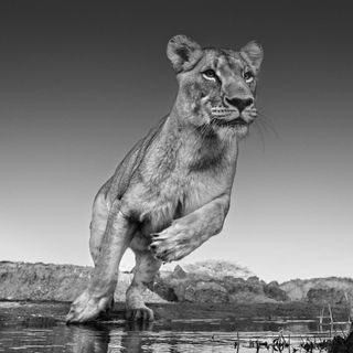 Emma – ©David Yarrow