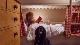 سگی توسط یک کودک روی تخت دو طبقه در هتل میتر