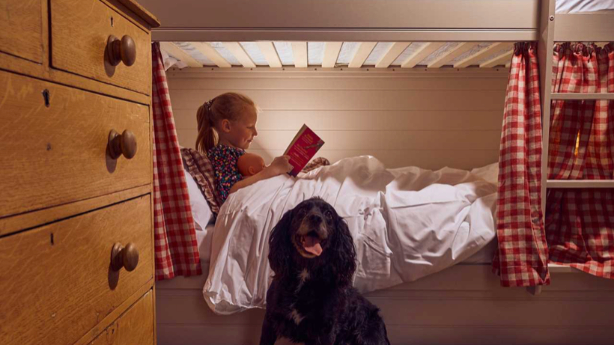 Dog by child in bunk bed at The Mitre Hotel