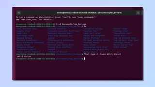 Screenshot showing how to find a file using Linux Command Line - The find command