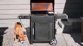 Masterbuilt AutoIgnite Series 545 Digital Charcoal Grill and Smoker