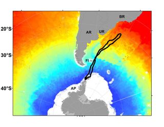 Map showing the full round-trip migration of a type B killer whale between Antarctica and the sub-tropics; over 5,000 miles, taking just 42 days to complete.