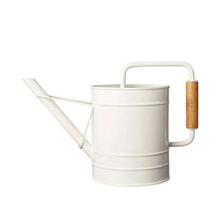 2.88L Painted Metal Watering Can Cream 