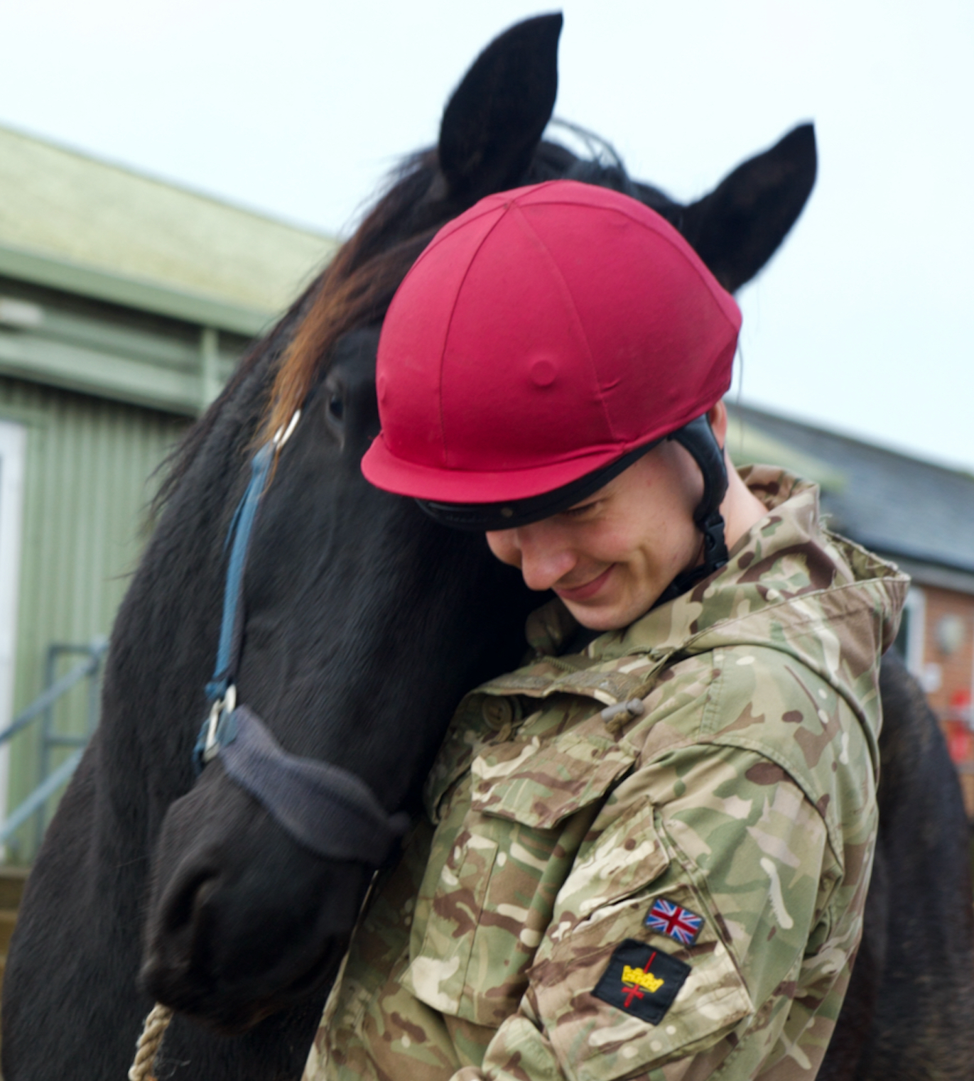 Over 150 horses have been relocated to the DATR in Melton Mowbray for some well-deserved rest and recuperation.