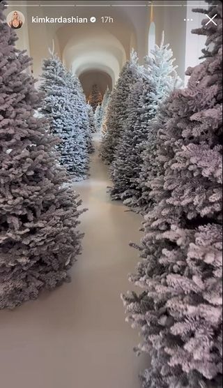photo of kim kardashian's trees on her instagram story