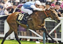goldikova.jpg