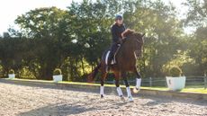 A dressage rider on a dark bay horse in an arena at sunset