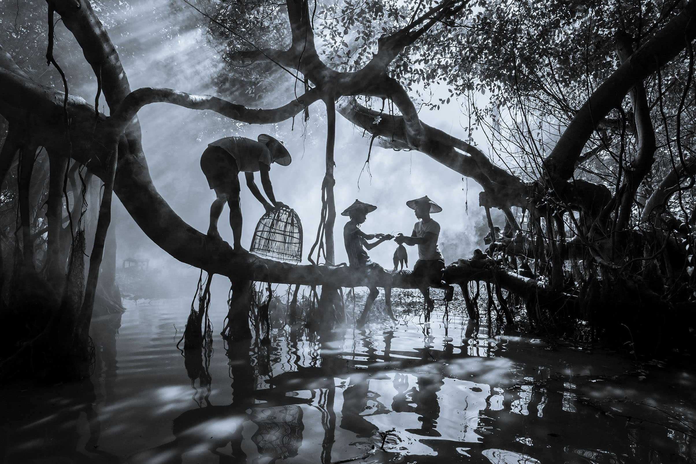 Silhouettes of three fishermen on mangrove tree branches passing a bird, with sun rays and mist over water in a forest