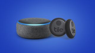 echo dot tile