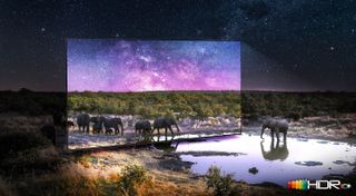 giant Samsung TV pictured out in nature, with elephants walking out of screen