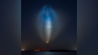 A blue and yellow jellyfish-shaped light shines in the night sky. 
