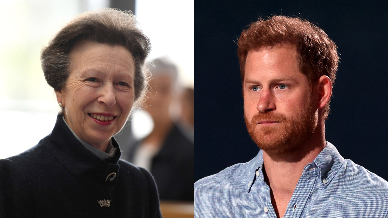 Prince Harry&#039;s subtle swipe at Princess Anne