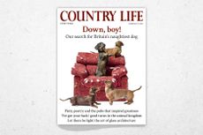 Cover of Country Life February 25, 2026