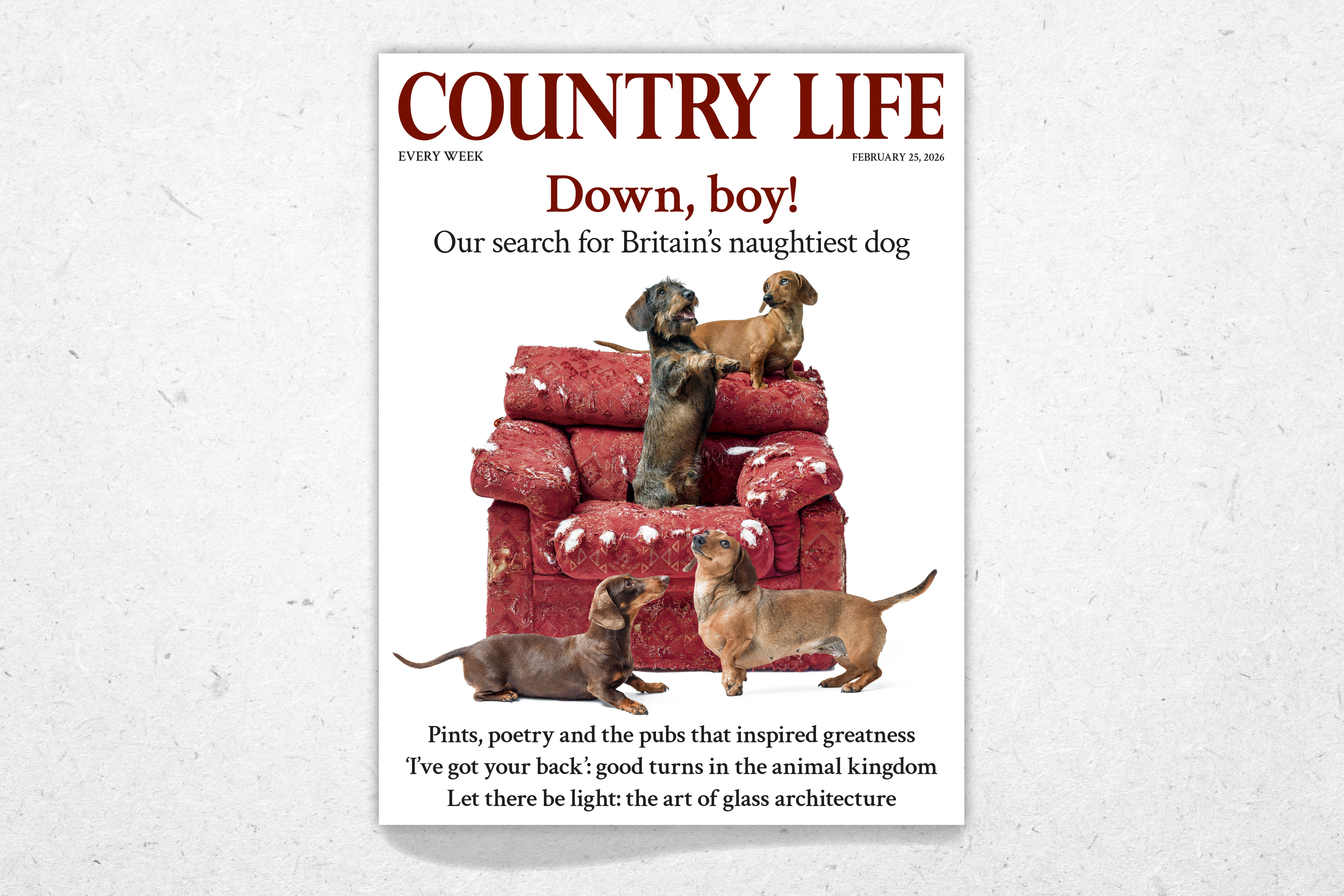 Cover of Country Life February 25, 2026 