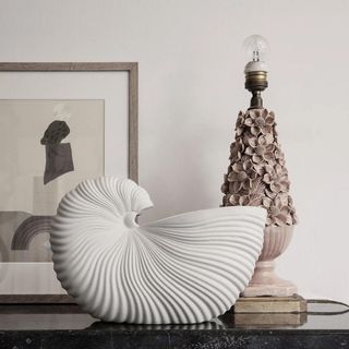 nautilus shell shaped pot designed lamp and photo frame