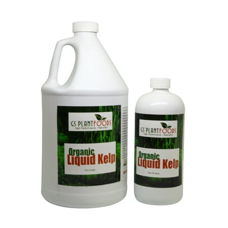 Gs Plant Foods Organic Kelp Fertilizer - Concentrated Liquid for Gardens, Lawns, and Soil Yields 800+ Gallons, Organic, Omri Kelp, Effective Fertilization, 1 Gallon Container