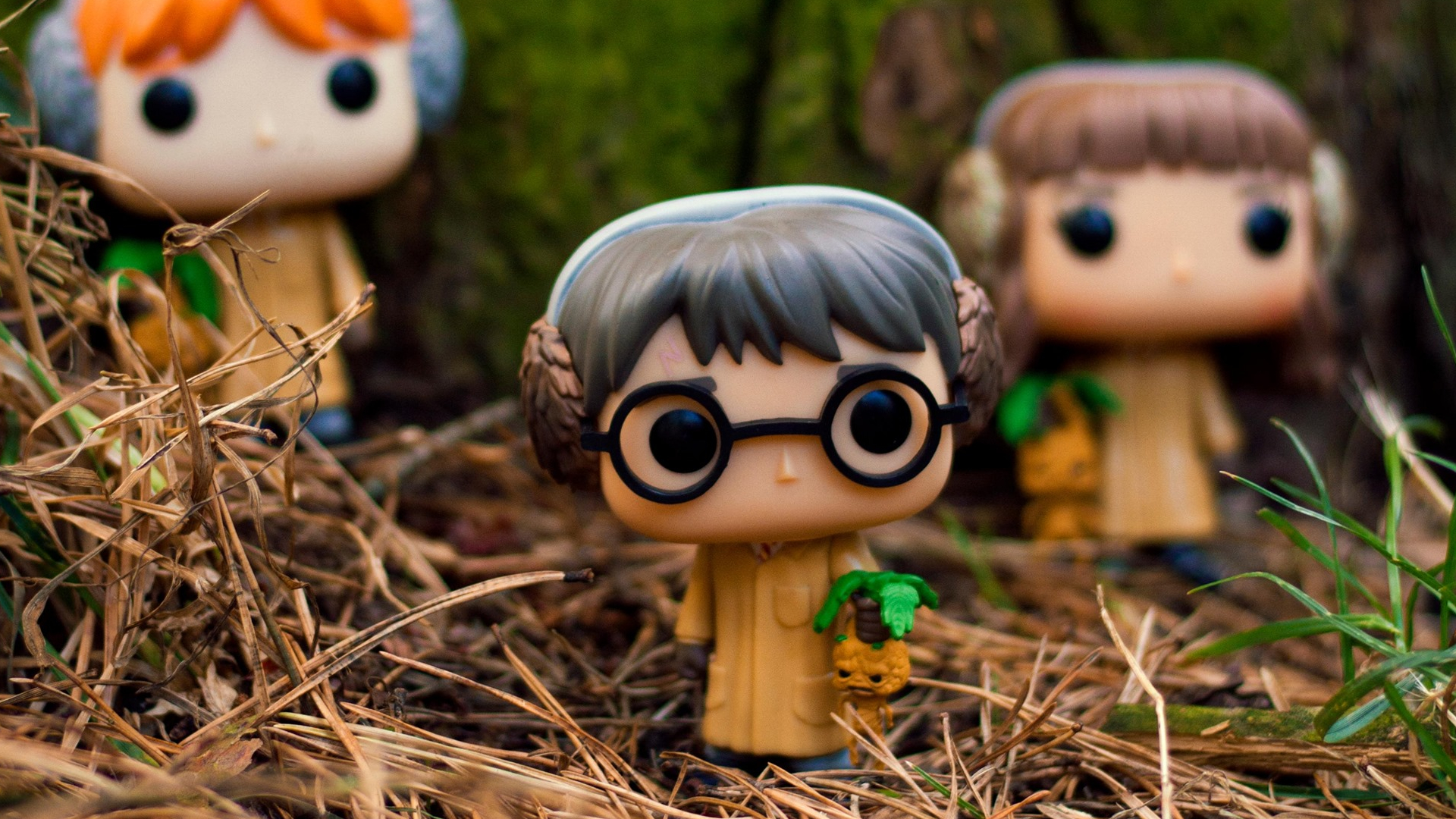 Harry Potter Funko POP!
